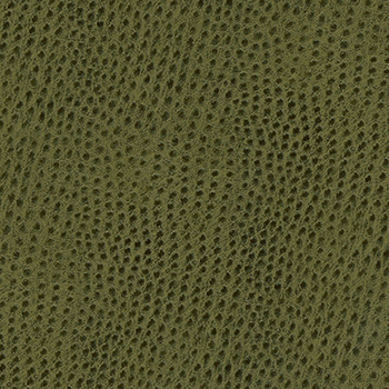 Skin Tex Ostrich SO-342 Meadow Outdoor Upholstery Fabric